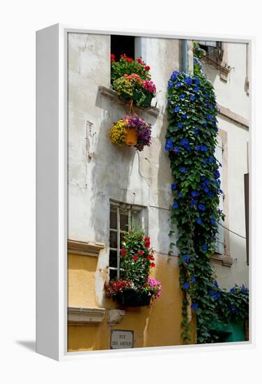 Building with Flower Pots on Each Window, Rue Des Arenes, Arles, Bouches-Du-Rhone-null-Framed Stretched Canvas