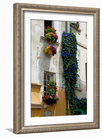 Building with Flower Pots on Each Window, Rue Des Arenes, Arles, Bouches-Du-Rhone-null-Framed Photographic Print