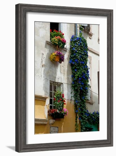 Building with Flower Pots on Each Window, Rue Des Arenes, Arles, Bouches-Du-Rhone-null-Framed Photographic Print