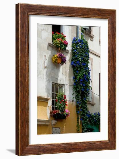 Building with Flower Pots on Each Window, Rue Des Arenes, Arles, Bouches-Du-Rhone-null-Framed Photographic Print