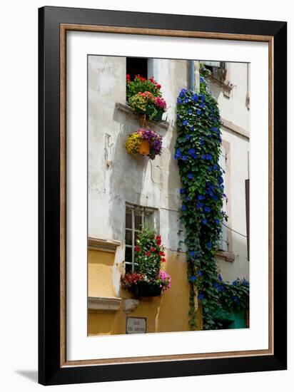 Building with Flower Pots on Each Window, Rue Des Arenes, Arles, Bouches-Du-Rhone-null-Framed Photographic Print