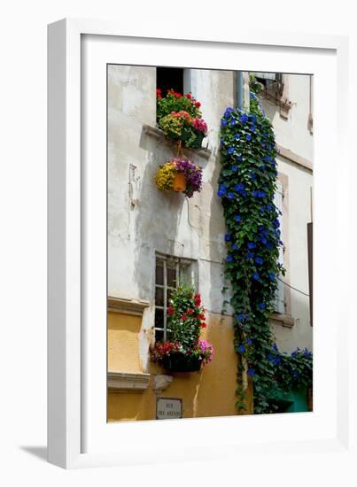 Building with Flower Pots on Each Window, Rue Des Arenes, Arles, Bouches-Du-Rhone-null-Framed Photographic Print