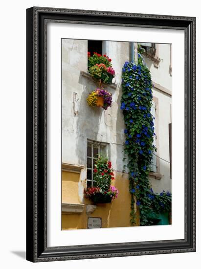 Building with Flower Pots on Each Window, Rue Des Arenes, Arles, Bouches-Du-Rhone-null-Framed Photographic Print