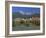 Buildings Along the Inn River, Innsbruck, Tirol (Tyrol), Austria, Europe-Gavin Hellier-Framed Photographic Print