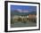 Buildings Along the Inn River, Innsbruck, Tirol (Tyrol), Austria, Europe-Gavin Hellier-Framed Photographic Print