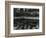 Buildings, Water, Wall, Reflections, c.1970-Brett Weston-Framed Photographic Print