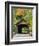 Built in 1837, Coombs Covered Bridge, Ashuelot River in Winchester, New Hampshire, USA-Jerry & Marcy Monkman-Framed Photographic Print