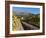 Buitenverwachting Wine Farm, Constantia, Cape Province, South Africa, Africa-Sergio Pitamitz-Framed Photographic Print