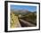 Buitenverwachting Wine Farm, Constantia, Cape Province, South Africa, Africa-Sergio Pitamitz-Framed Photographic Print