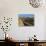 Buitenverwachting Wine Farm, Constantia, Cape Province, South Africa, Africa-Sergio Pitamitz-Photographic Print displayed on a wall