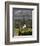 Buitenverwachting Wine Farm, Constantia, Cape Province, South Africa, Africa-Sergio Pitamitz-Framed Photographic Print