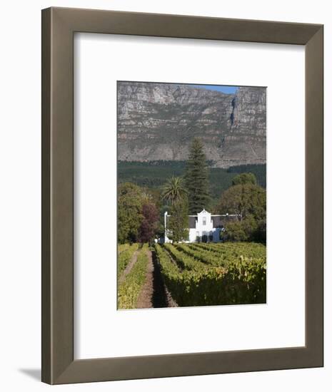 Buitenverwachting Wine Farm, Constantia, Cape Province, South Africa, Africa-Sergio Pitamitz-Framed Photographic Print