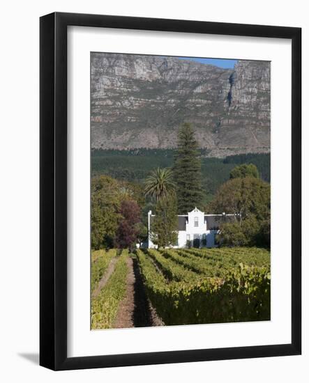 Buitenverwachting Wine Farm, Constantia, Cape Province, South Africa, Africa-Sergio Pitamitz-Framed Photographic Print