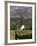 Buitenverwachting Wine Farm, Constantia, Cape Province, South Africa, Africa-Sergio Pitamitz-Framed Photographic Print