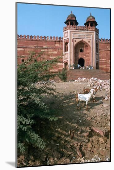 Buland Darwaza, Fatehpur Sikri, Agra, Uttar Pradesh, India-Vivienne Sharp-Mounted Photographic Print