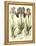 Bulb Garden I-Besler Basilius-Framed Stretched Canvas