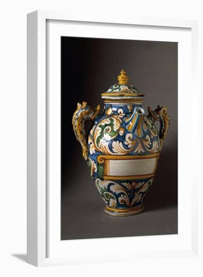 Bulbous Apothecary Jug Decorated with Plant Scrolls-null-Framed Giclee Print