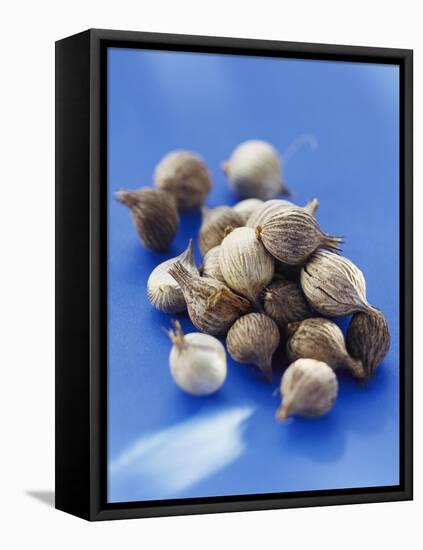 Bulbs-Eising Studio - Food Photo and Video-Framed Premier Image Canvas