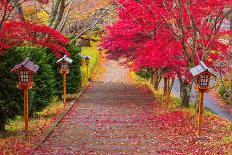 Way to Chureito Pagoda in Autumn, Fujiyoshida, Japan-Bule Sky Studio-Photographic Print