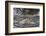 Bulgaria, Central Mts, Shipka Pass, Ruins of the Buzludzha Monument-Walter Bibikow-Framed Photographic Print