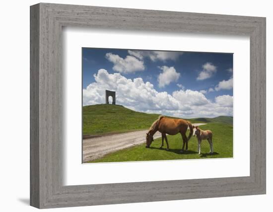 Bulgaria, Central Mts, Troyan, Troyan Pass, Battle Monument and Horses-Walter Bibikow-Framed Photographic Print