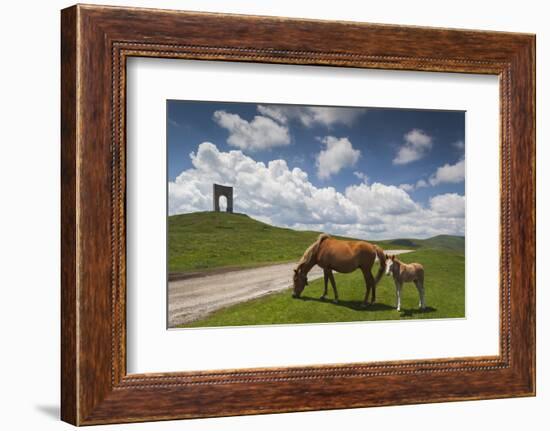 Bulgaria, Central Mts, Troyan, Troyan Pass, Battle Monument and Horses-Walter Bibikow-Framed Photographic Print