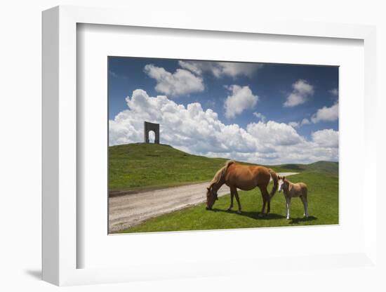 Bulgaria, Central Mts, Troyan, Troyan Pass, Battle Monument and Horses-Walter Bibikow-Framed Photographic Print