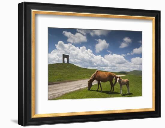 Bulgaria, Central Mts, Troyan, Troyan Pass, Battle Monument and Horses-Walter Bibikow-Framed Photographic Print