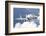 Bulgarian and Polish Air Force Mig-29S Planes Flying over Bulgaria-Stocktrek Images-Framed Photographic Print