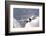 Bulgarian and Polish Air Force Mig-29S Planes Flying over Bulgaria-Stocktrek Images-Framed Photographic Print