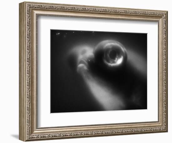 Bulging Eyes of Goldfish-Henry Horenstein-Framed Photographic Print