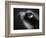 Bulging Eyes of Goldfish-Henry Horenstein-Framed Photographic Print