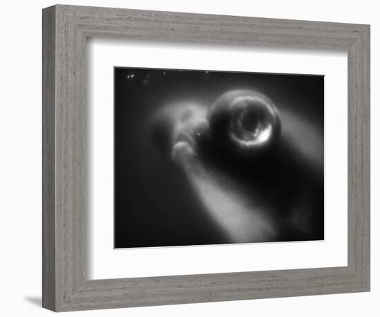 Bulging Eyes of Goldfish-Henry Horenstein-Framed Photographic Print