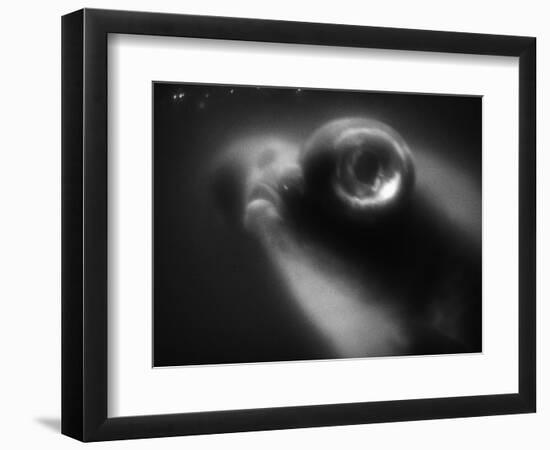 Bulging Eyes of Goldfish-Henry Horenstein-Framed Photographic Print