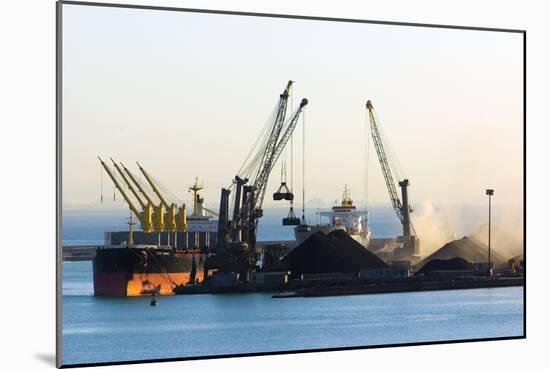 Bulk Shipping Cranes-Dr. Juerg Alean-Mounted Photographic Print