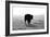 Bull after Ice Storm-Amanda Lee Smith-Framed Photographic Print