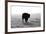 Bull after Ice Storm-Amanda Lee Smith-Framed Photographic Print