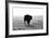 Bull after Ice Storm-Amanda Lee Smith-Framed Photographic Print