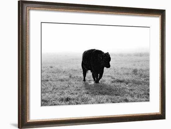 Bull after Ice Storm-Amanda Lee Smith-Framed Photographic Print