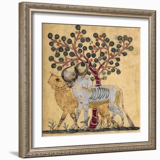 Bull and Cow-Aristotle ibn Bakhtishu-Framed Giclee Print