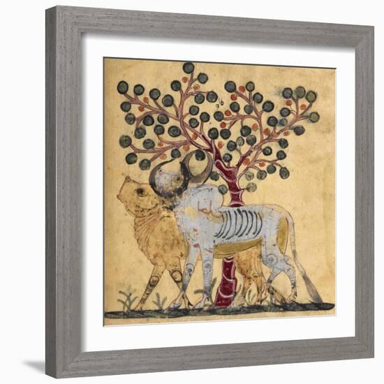 Bull and Cow-Aristotle ibn Bakhtishu-Framed Giclee Print