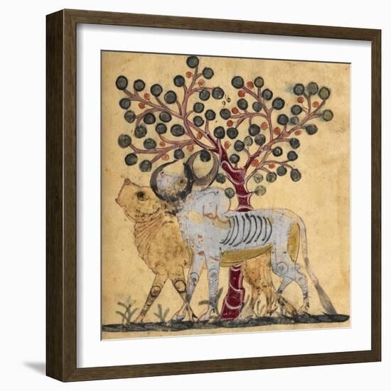 Bull and Cow-Aristotle ibn Bakhtishu-Framed Giclee Print
