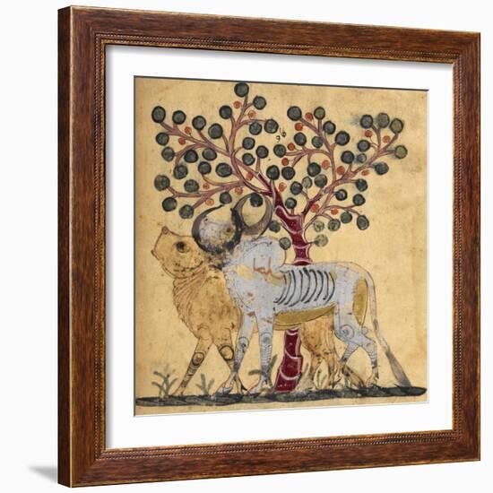 Bull and Cow-Aristotle ibn Bakhtishu-Framed Giclee Print