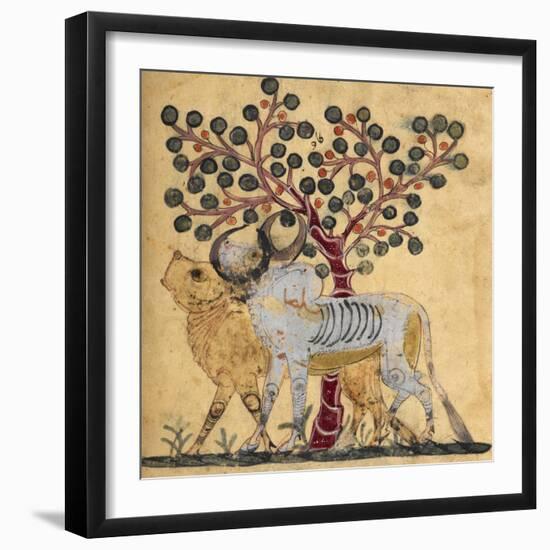 Bull and Cow-Aristotle ibn Bakhtishu-Framed Giclee Print