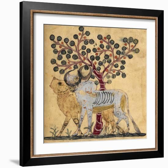 Bull and Cow-Aristotle ibn Bakhtishu-Framed Giclee Print