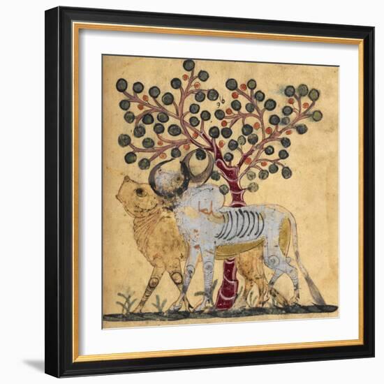 Bull and Cow-Aristotle ibn Bakhtishu-Framed Giclee Print