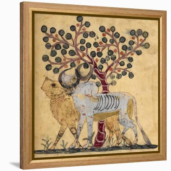 Bull and Cow-Aristotle ibn Bakhtishu-Framed Premier Image Canvas