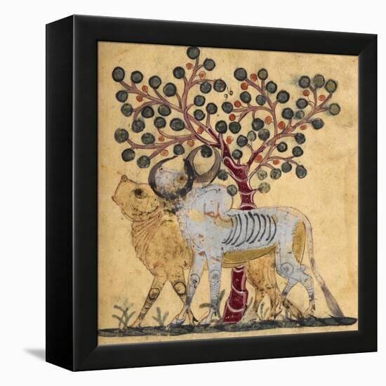 Bull and Cow-Aristotle ibn Bakhtishu-Framed Premier Image Canvas