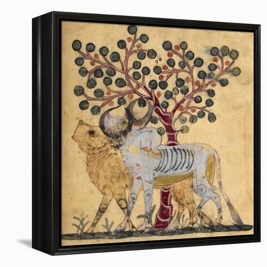 Bull and Cow-Aristotle ibn Bakhtishu-Framed Premier Image Canvas