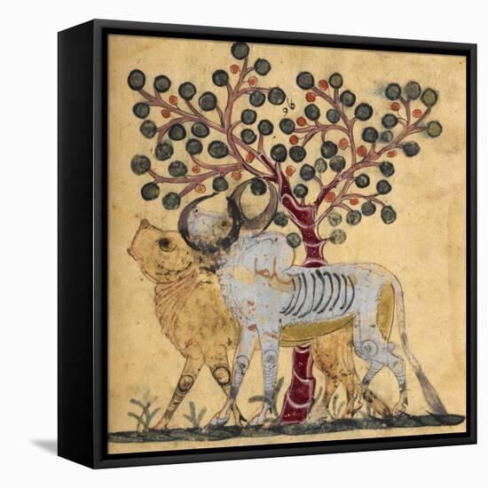 Bull and Cow-Aristotle ibn Bakhtishu-Framed Premier Image Canvas